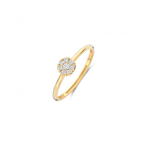 Ringen - Geel goud - 406870
