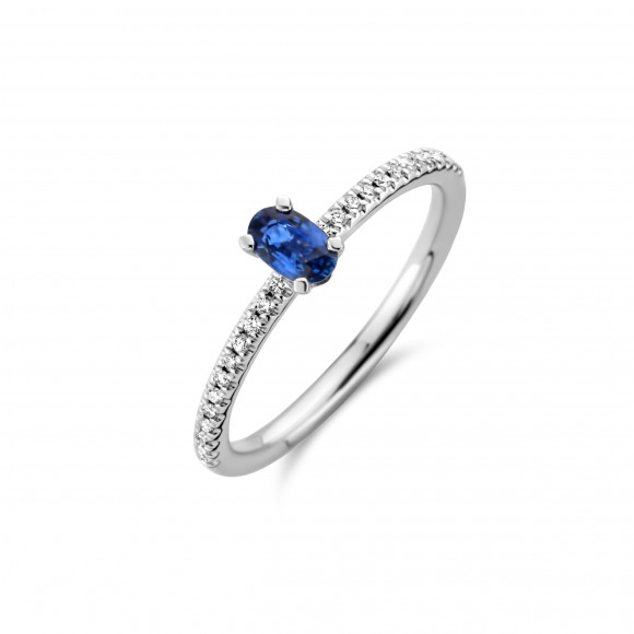 Ringen - Wit goud - 402750