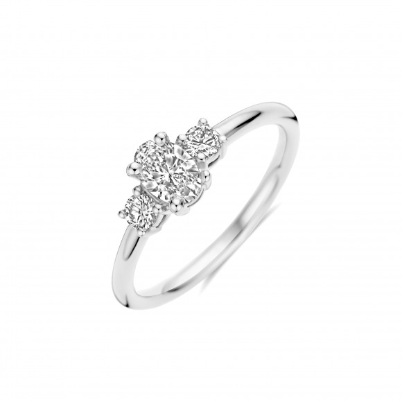 Ringen - Wit goud - 404395