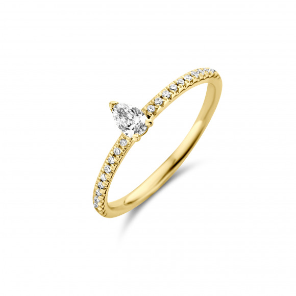 Ringen - Geel goud - 191503