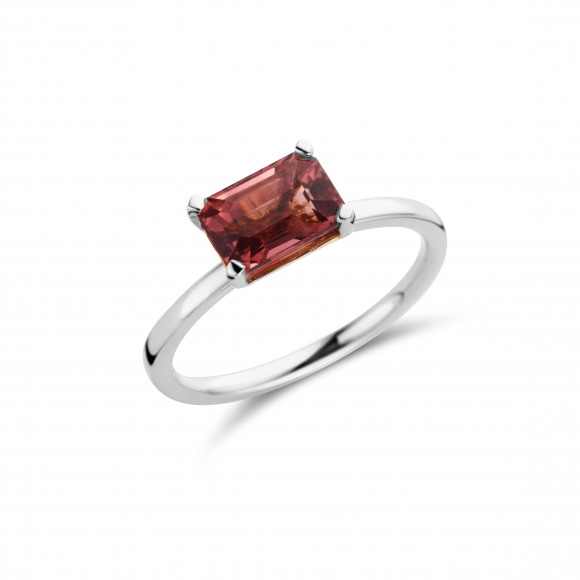 Ringen - Wit goud - 203423