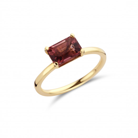 Ringen - Geel goud - 203423