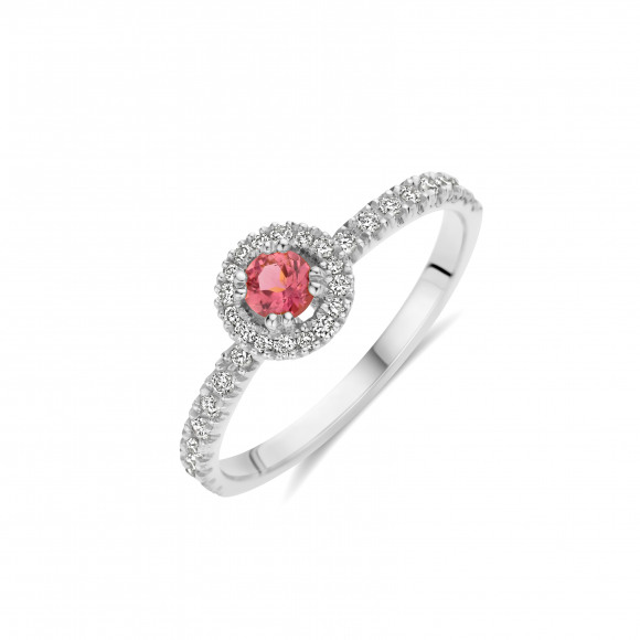 Ringen - Wit goud - 401254