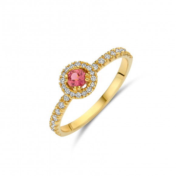 Ringen - Geel goud - 401254