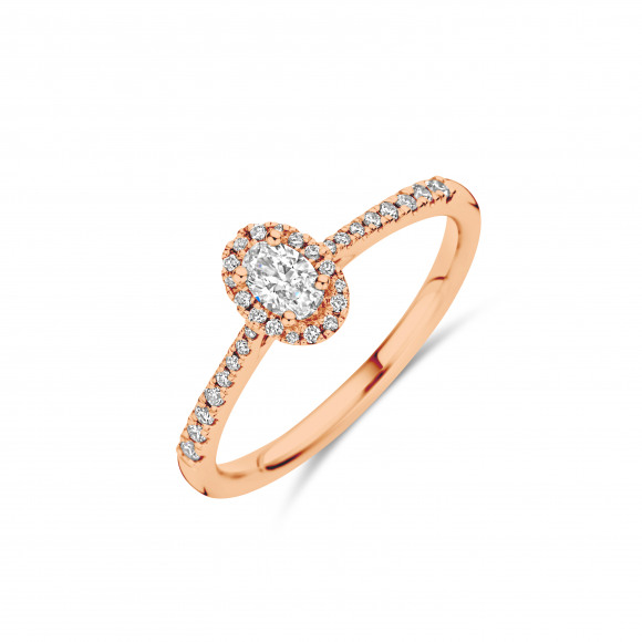Ringen - Geel goud - 401300