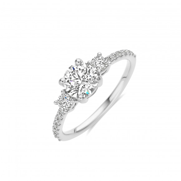 Ringen - Wit goud - 404098