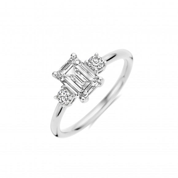 Ringen - Wit goud - 404392