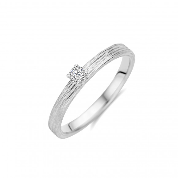 Ringen - Wit goud - 404445