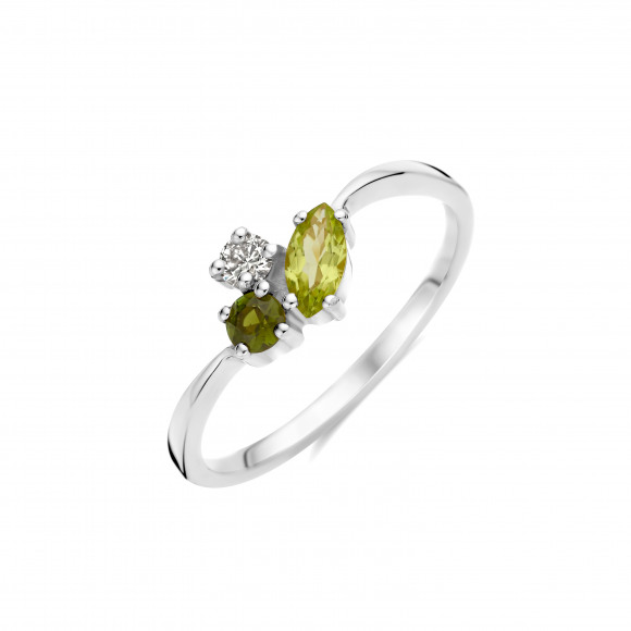 Ringen - Wit goud - 404624