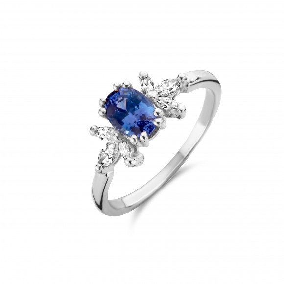 Ringen - Wit goud - 201937