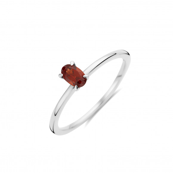 Ringen - Wit goud - 204311