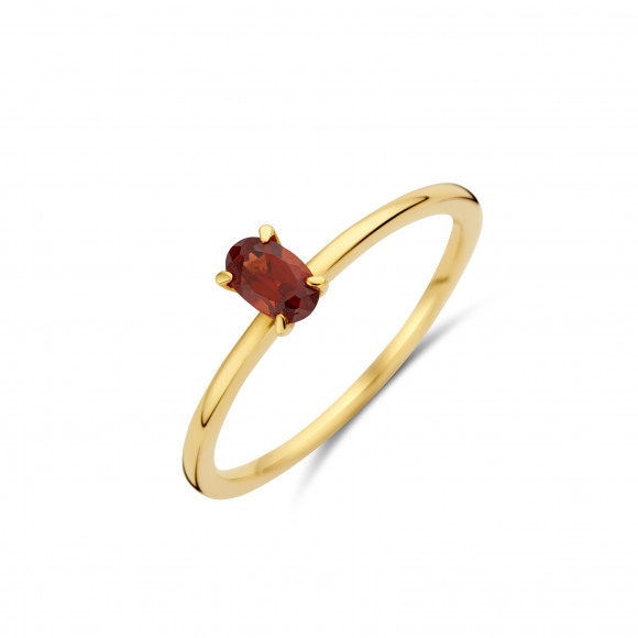 Ringen - Geel goud - 204311