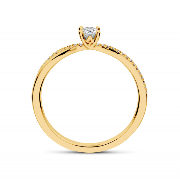 Ringen - Geel goud - 401299