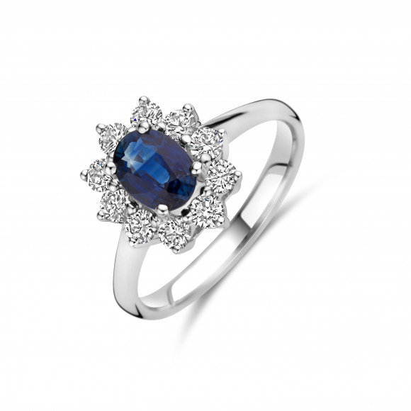 Ringen - Wit goud - 403320