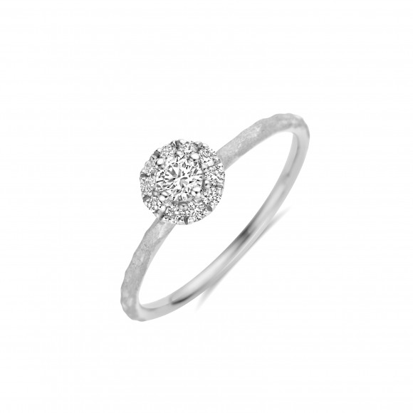 Ringen - Wit goud - 403244