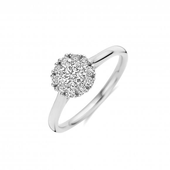Ringen - Wit goud - 404394