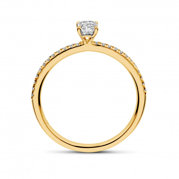 Ringen - Geel goud - 191504