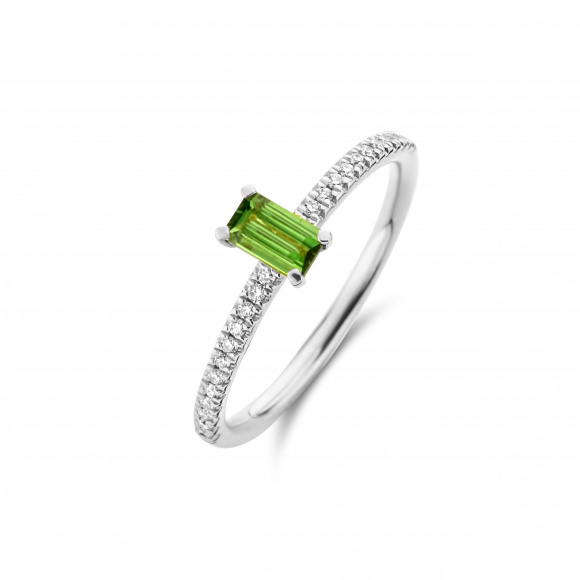 Ringen - Wit goud - 201798