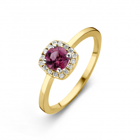 Ringen - Geel goud - 181031