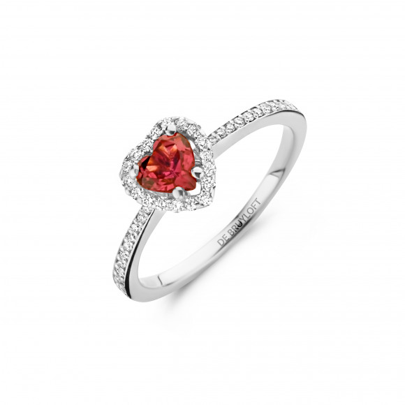 Ringen - Wit goud - 202096