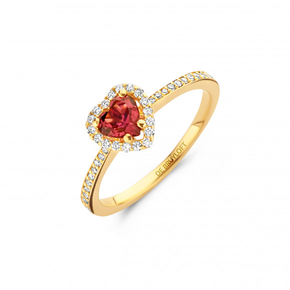 Ringen - Geel goud - 202096