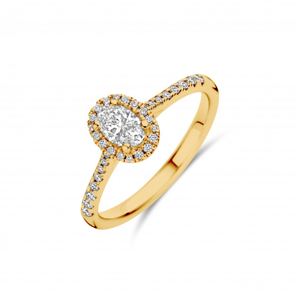 Ringen - Geel goud - 204465