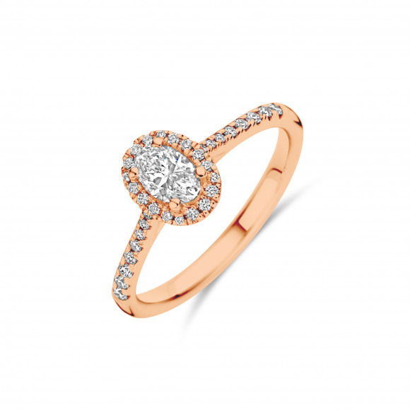 Ringen - 204465