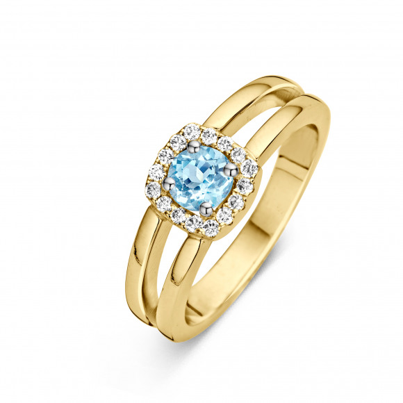Ringen - Geel goud - 204550