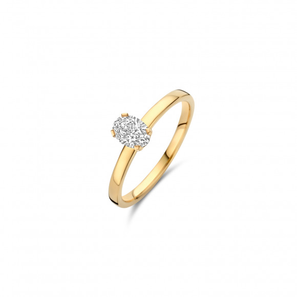 Ringen - Geel goud - 405329