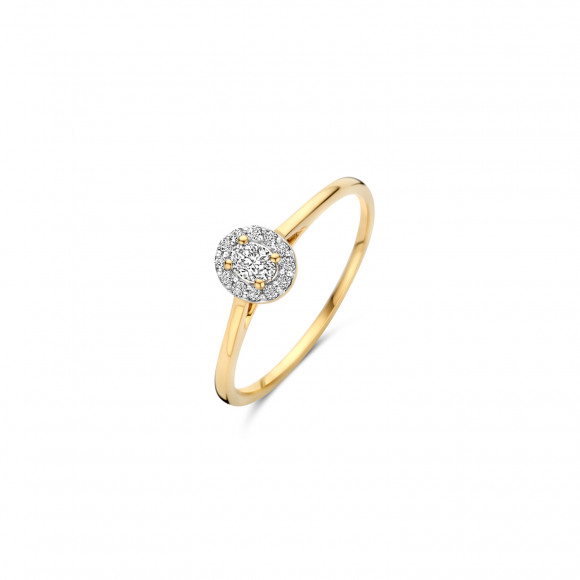 Ringen - Geel goud - 405331