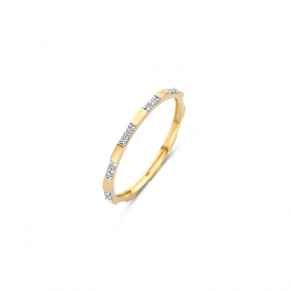 Ringen - Geel goud - 405456
