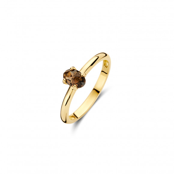 Ringen - Geel goud - 407178