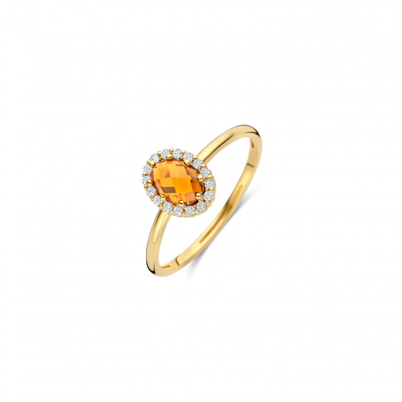 Ringen - Geel goud - 407180