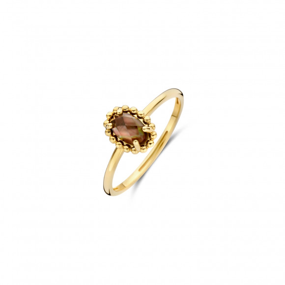 Ringen - Geel goud - 407181