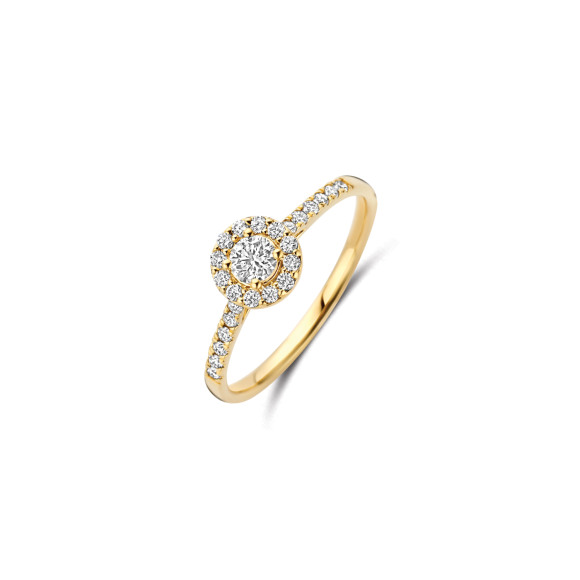 Ringen - Geel goud - 407747