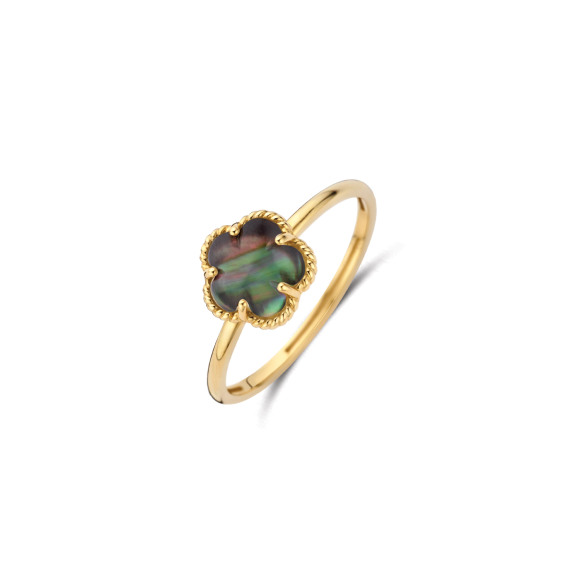 Ringen - Geel goud - 407859