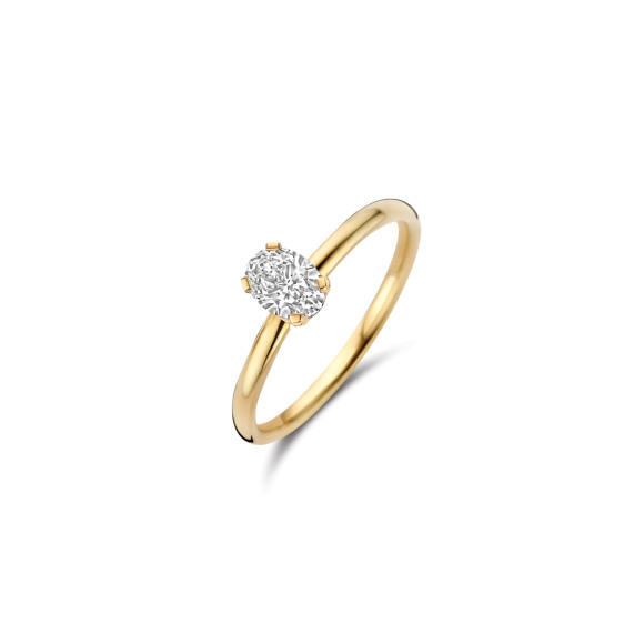 Ringen - Geel goud - 408512