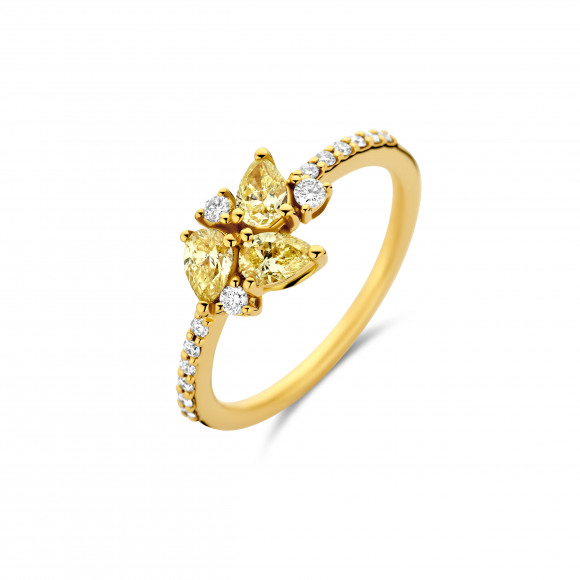 Ringen - Geel goud - 402283