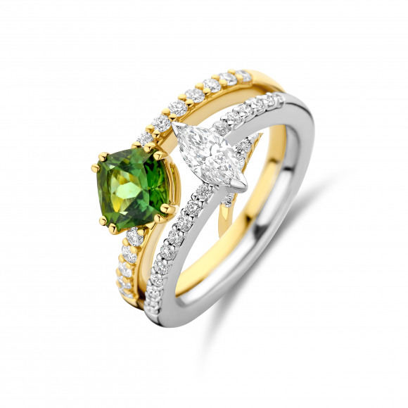 Ringen - Geel goud - 402289