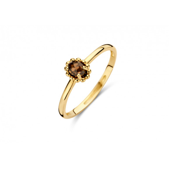 Ringen - Geel goud - 403350