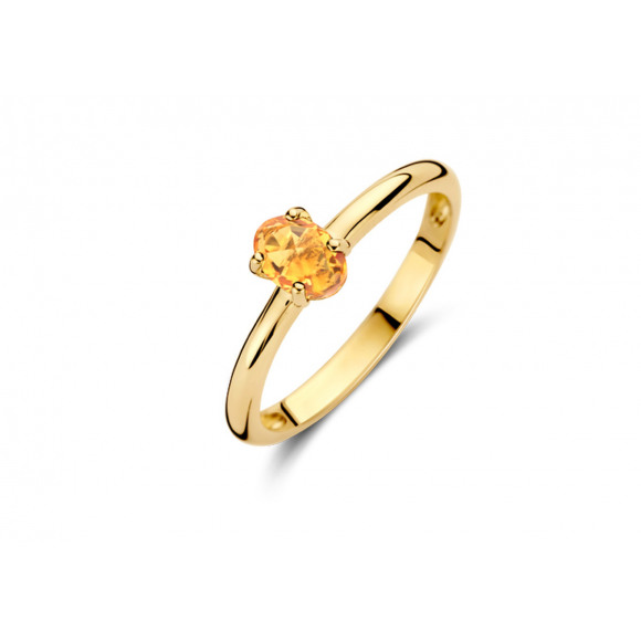 Ringen - Geel goud - 403353