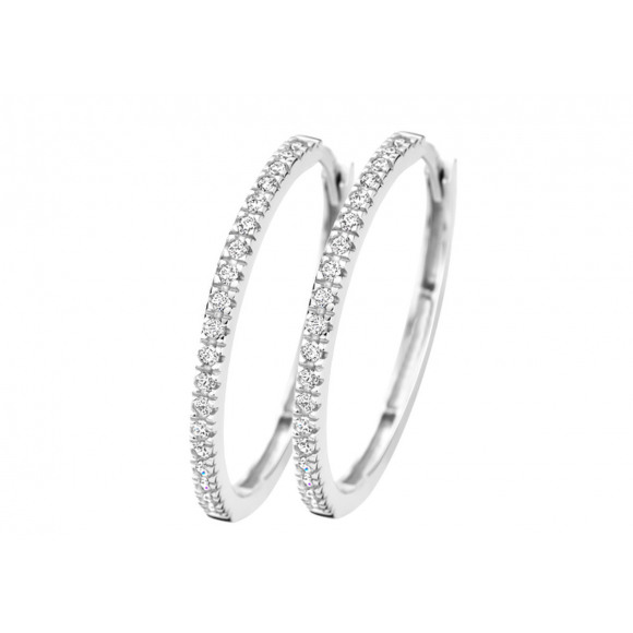 Oorringen - Wit goud - 403366