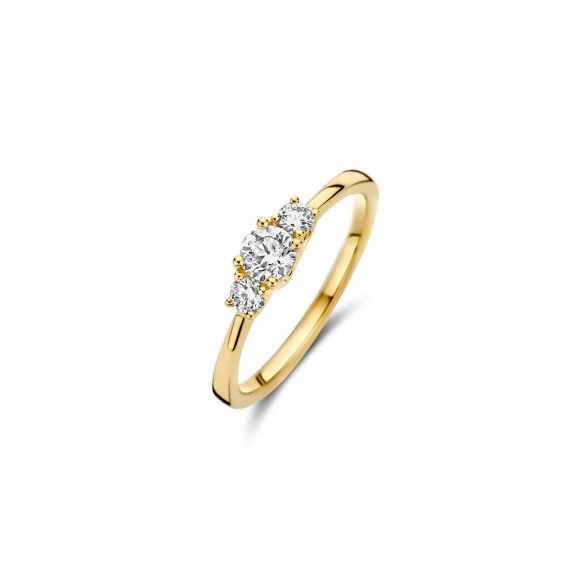 Ringen - Geel goud - 403414
