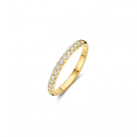 Ringen - Geel goud - 403419