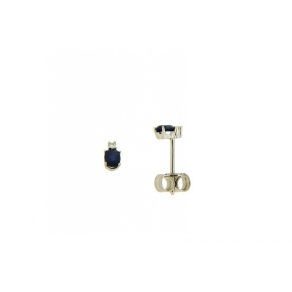 Oorringen - Wit goud - 403510