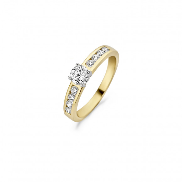 Ringen - Geel goud - 403884