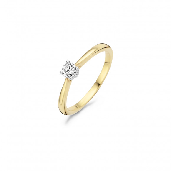 Ringen - Geel goud - 404183