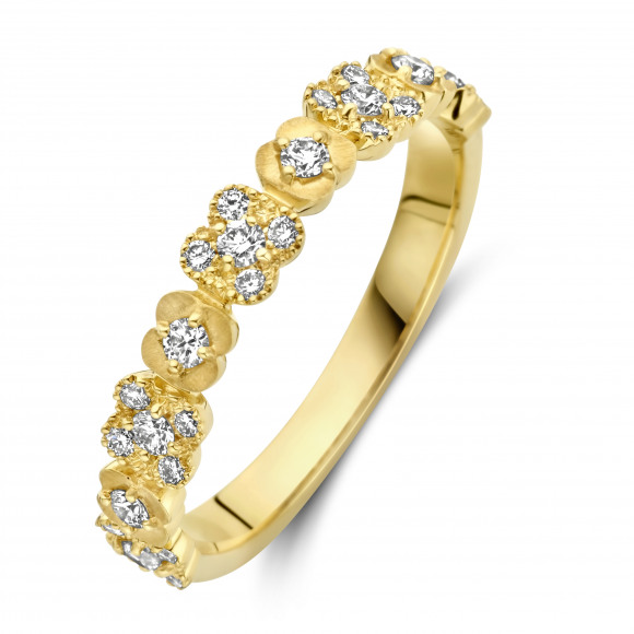 Ringen - Geel goud - 404253