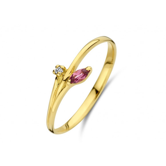 Ringen - Geel goud - 404449