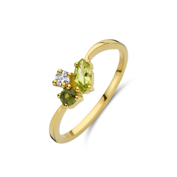 Ringen - Geel goud - 404624